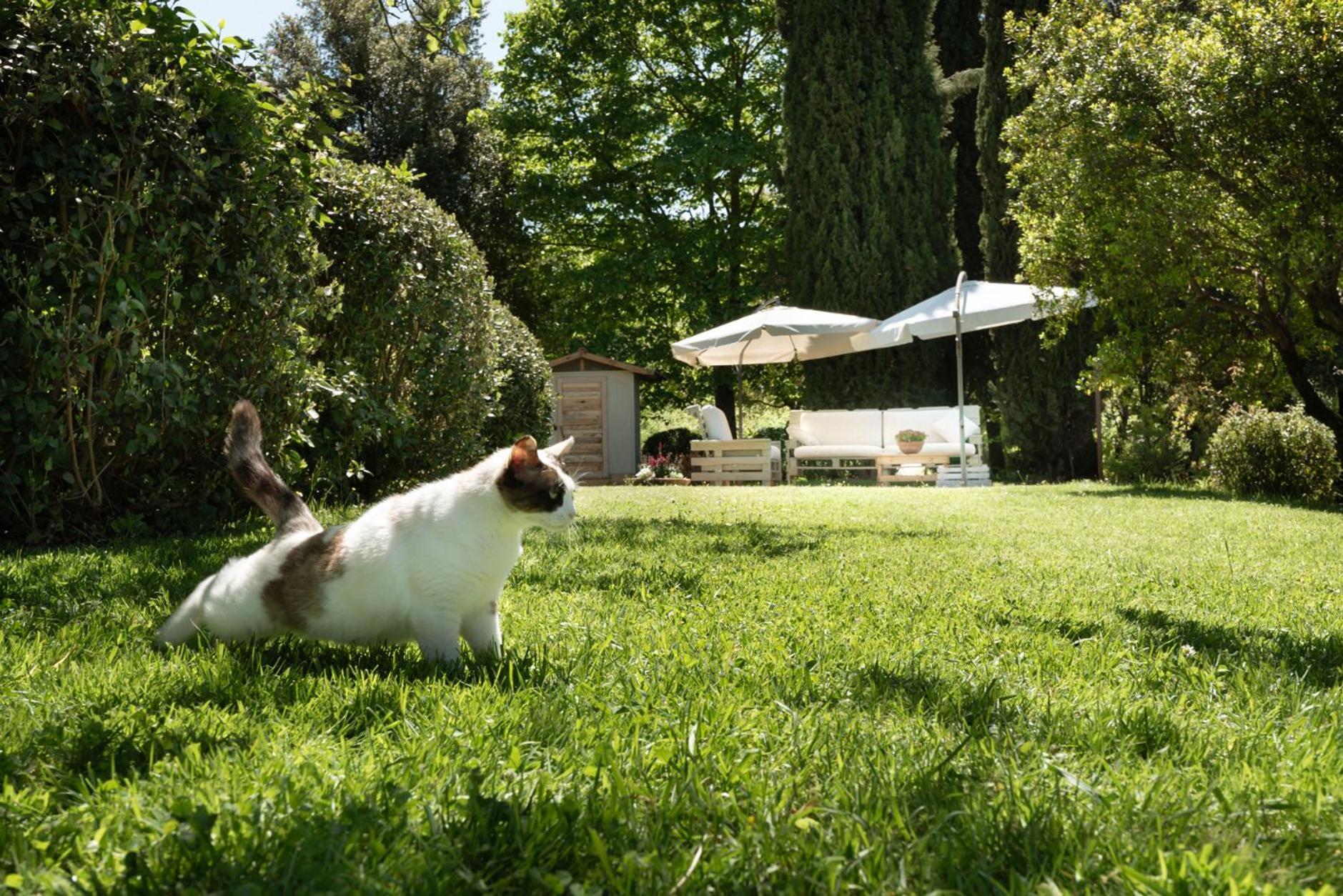 La Vittoria 10 - La Soglia Della Val D'Orcia Bed and Breakfast Chianciano Terme Eksteriør billede